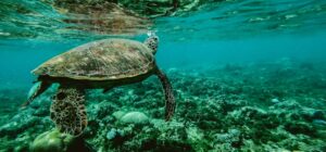 HydroPRS : La solution hydrothermale pour le recyclage des plastiques HydroPRS : La solution hydrothermale pour le recyclage des plastiques