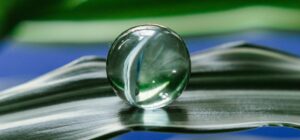 En route vers la neutralité carbone pour 2050