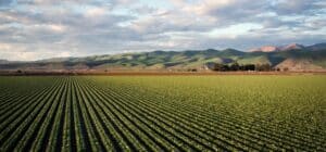 L’agroforesterie : une approche durable pour l’avenir de l’agriculture agroforesterie 1